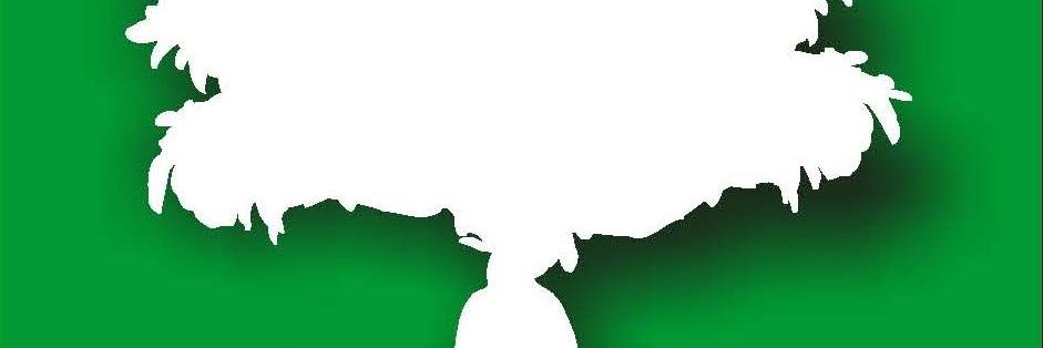 GabrieleAchilli's profile banner image