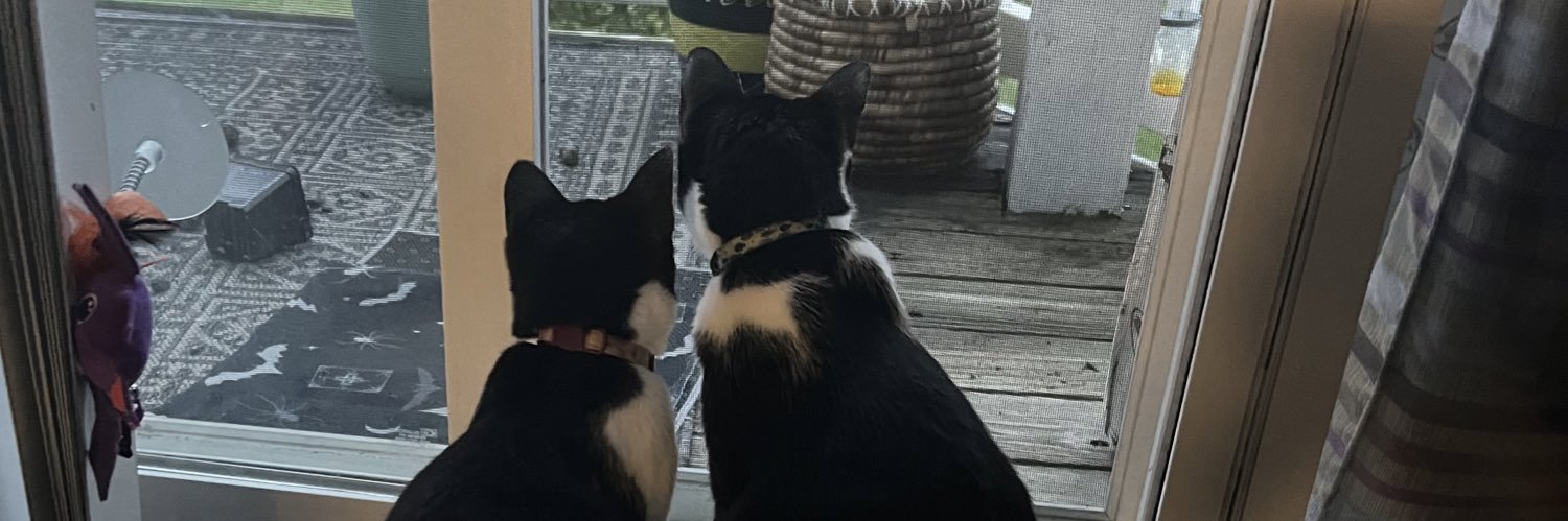 beccatilton's profile banner image
