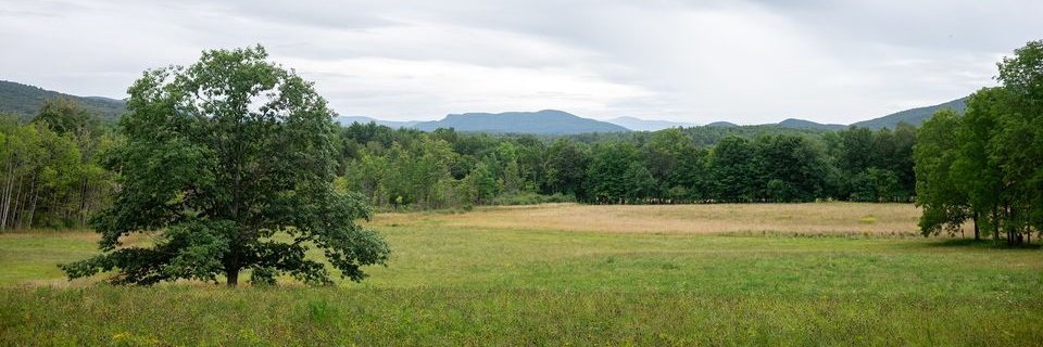 Berkshire Taconic Community Foundation banner