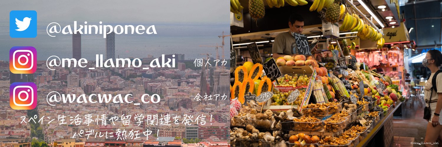 akiniponea's profile banner image