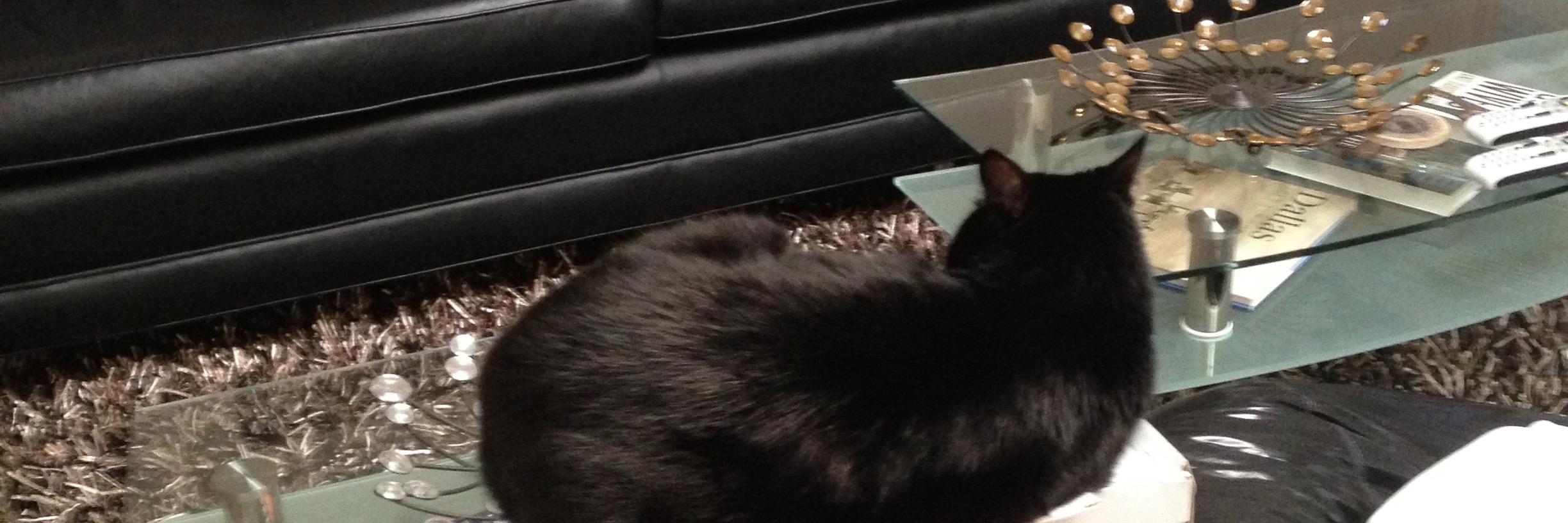 Roll The Uglyness banner