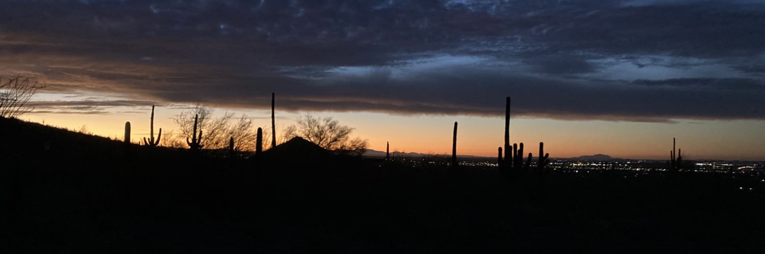 DrTanyaRaquel's profile banner image