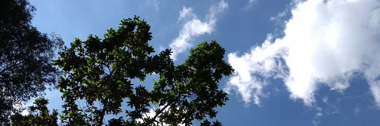 yinethcos's profile banner image