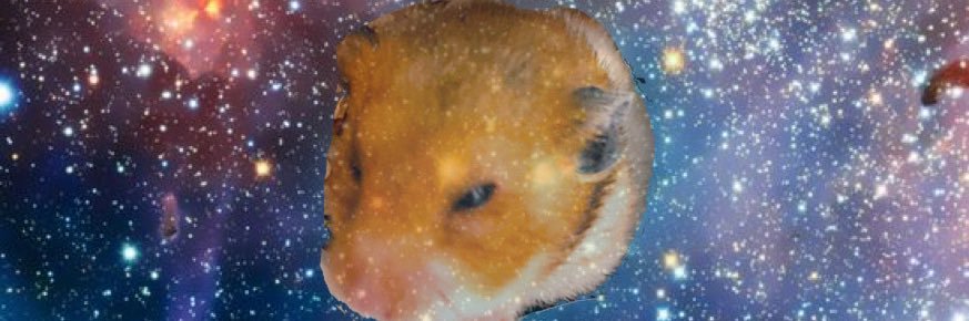 goldhamham's profile banner image
