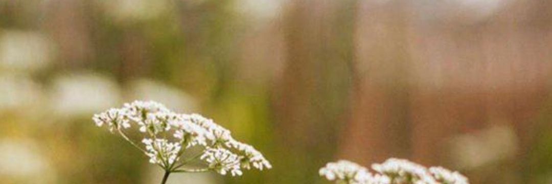 ALSHARIF1122's profile banner image