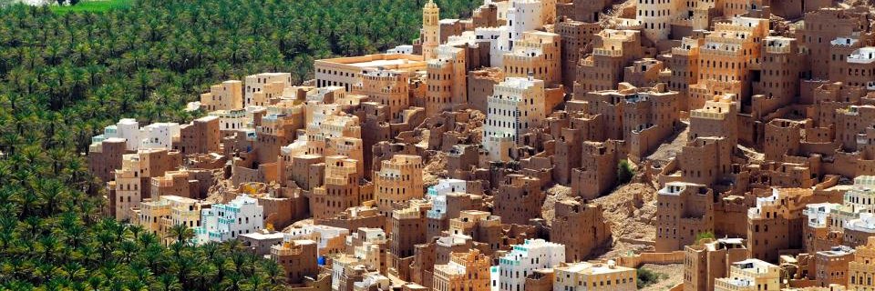 شفاء الناصر banner