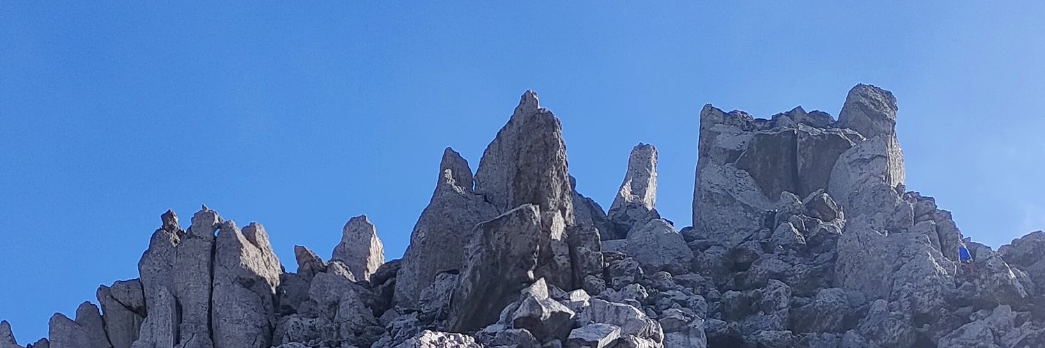 thiswnk's profile banner image