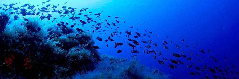 SeaKeepers Society banner