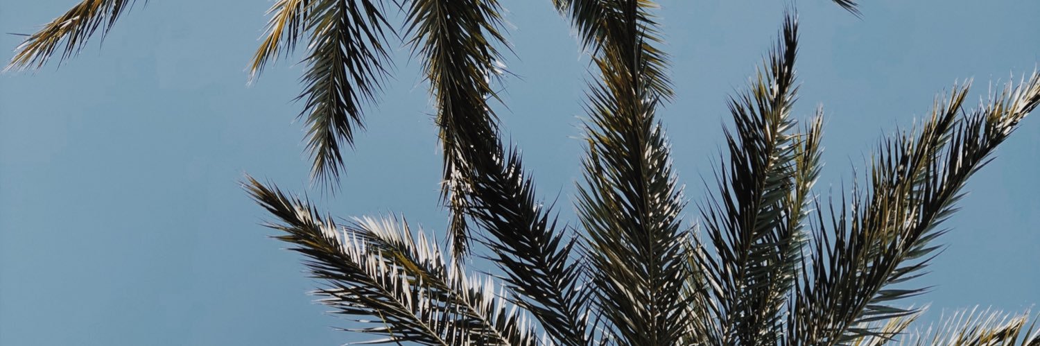 klsyfshr's profile banner image