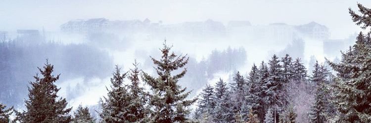 zach_12's profile banner image