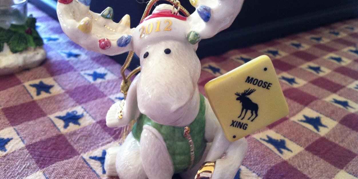 moosechronicles's profile banner image