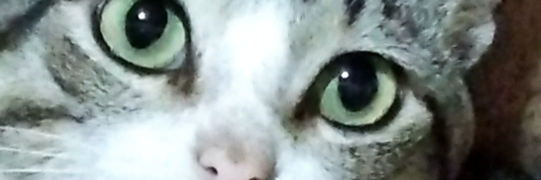androiderc93's profile banner image