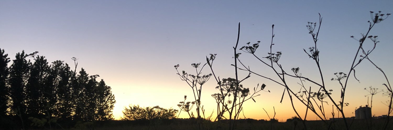 _Patru_'s profile banner image
