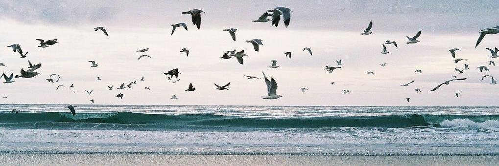 SashaStaark's profile banner image