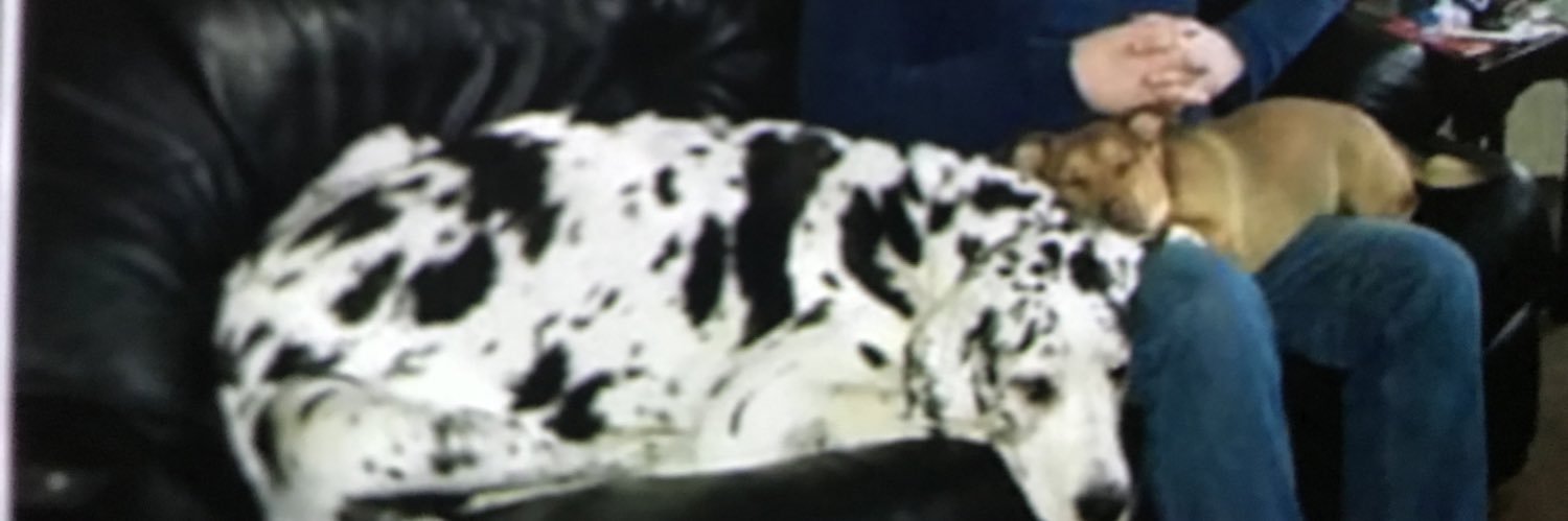 AndyFearn1's profile banner image