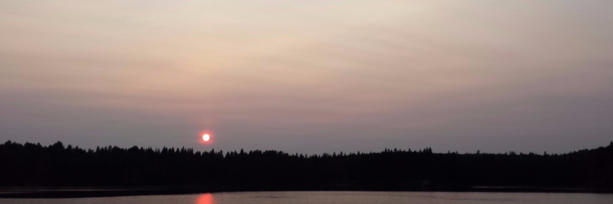 NRemillard's profile banner image