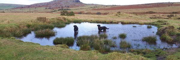 TamsinHarris21 Profile Banner