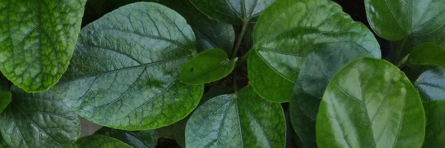 tonnum99's profile banner image