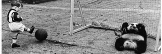 steveware3's profile banner image