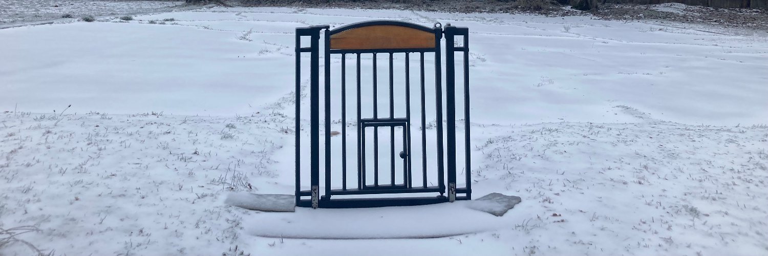 Colleague Oriana banner