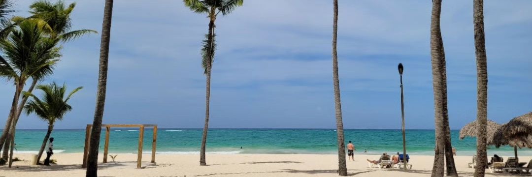 Marlene Camacho banner