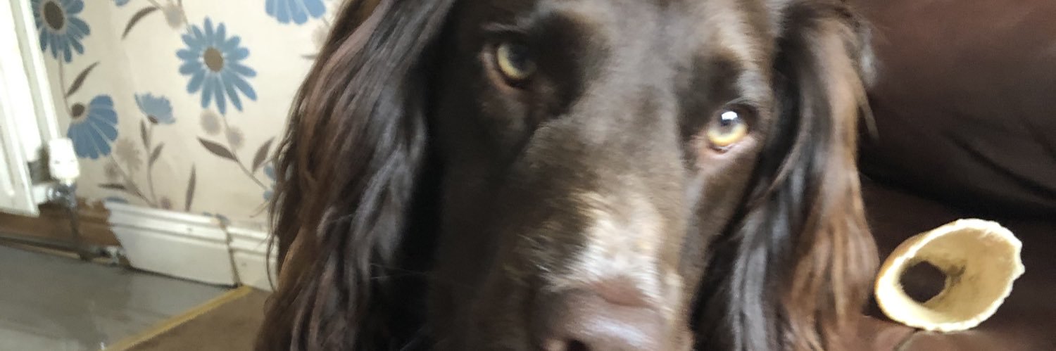 markclater's profile banner image
