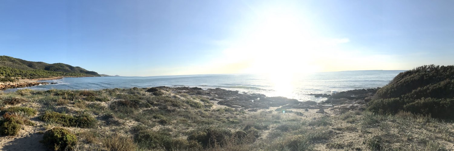 Ximo Ferrer 💛 banner