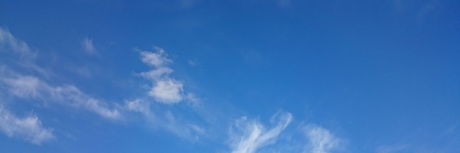 blueflower1803's profile banner image