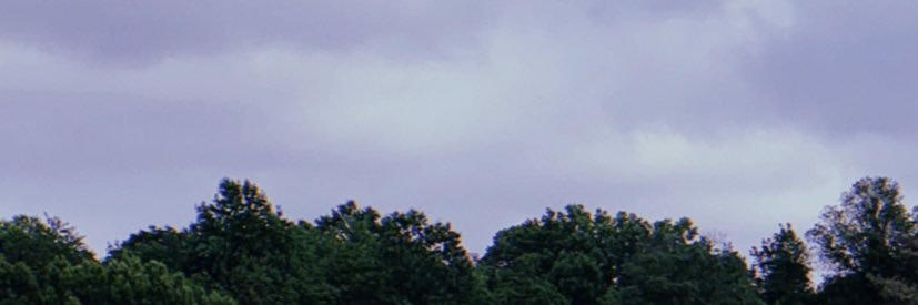 Connor Barr banner