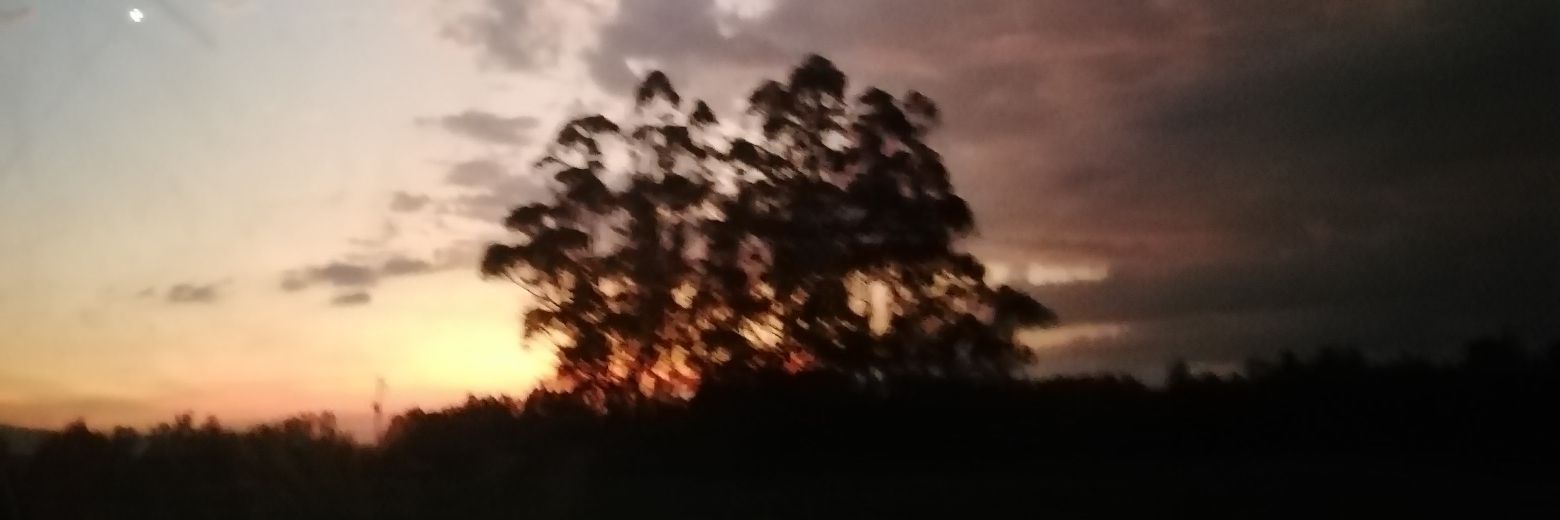 unalmamas42's profile banner image