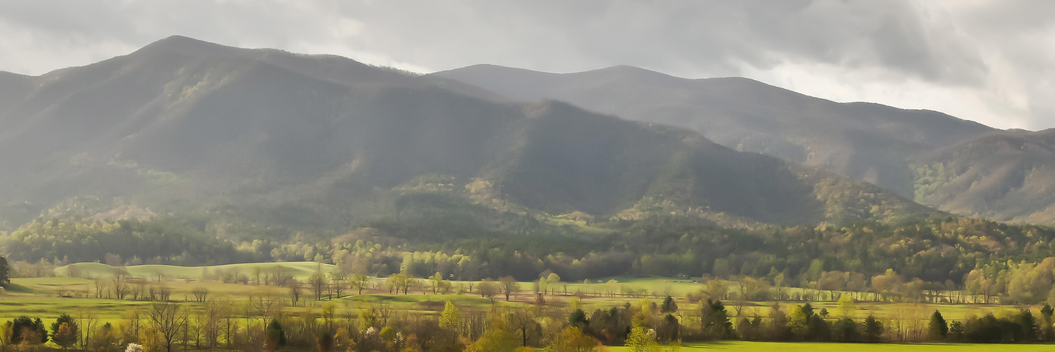 FoothillsWLS's profile banner image
