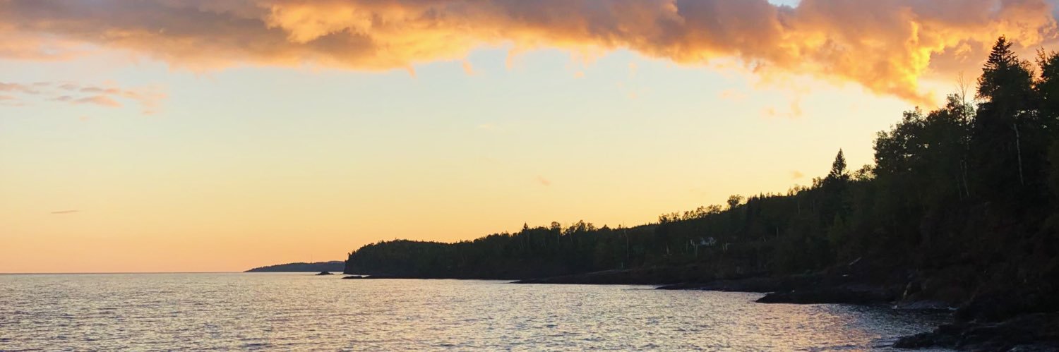 ellieoflan's profile banner image