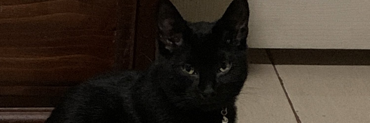 ANNARMENTHA's profile banner image