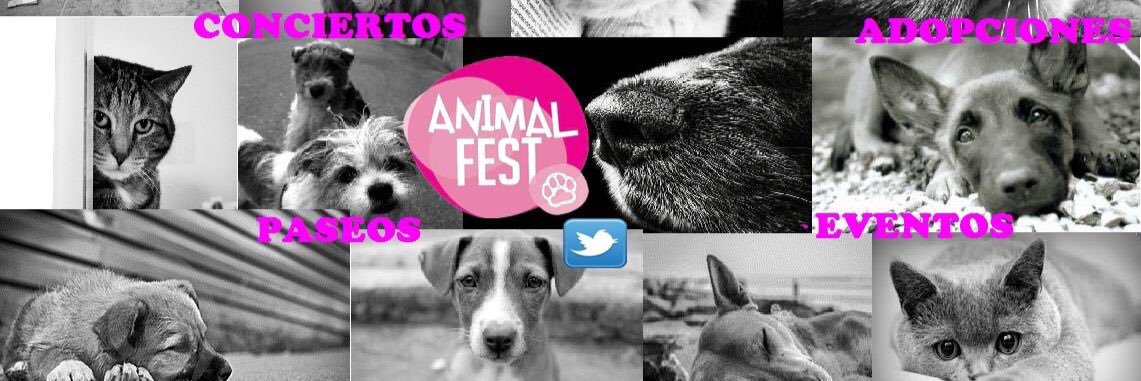 ANIMAL FEST banner