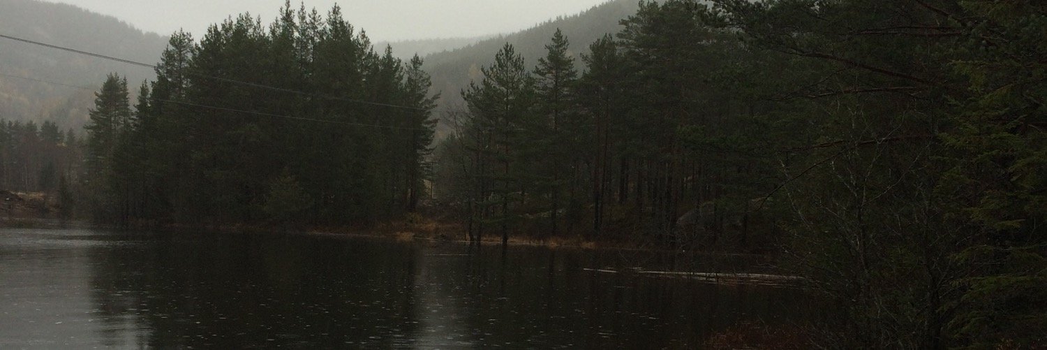 HalvorHomme's profile banner image