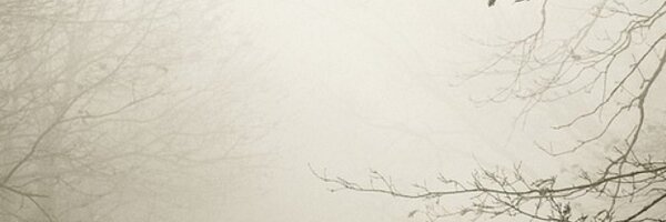 Pushanova Profile Banner