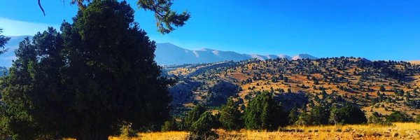 MayaKhadra Profile Banner