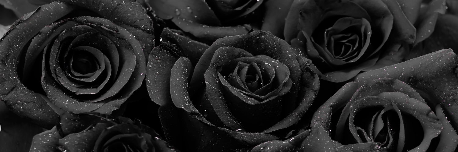PopartCindy's profile banner image