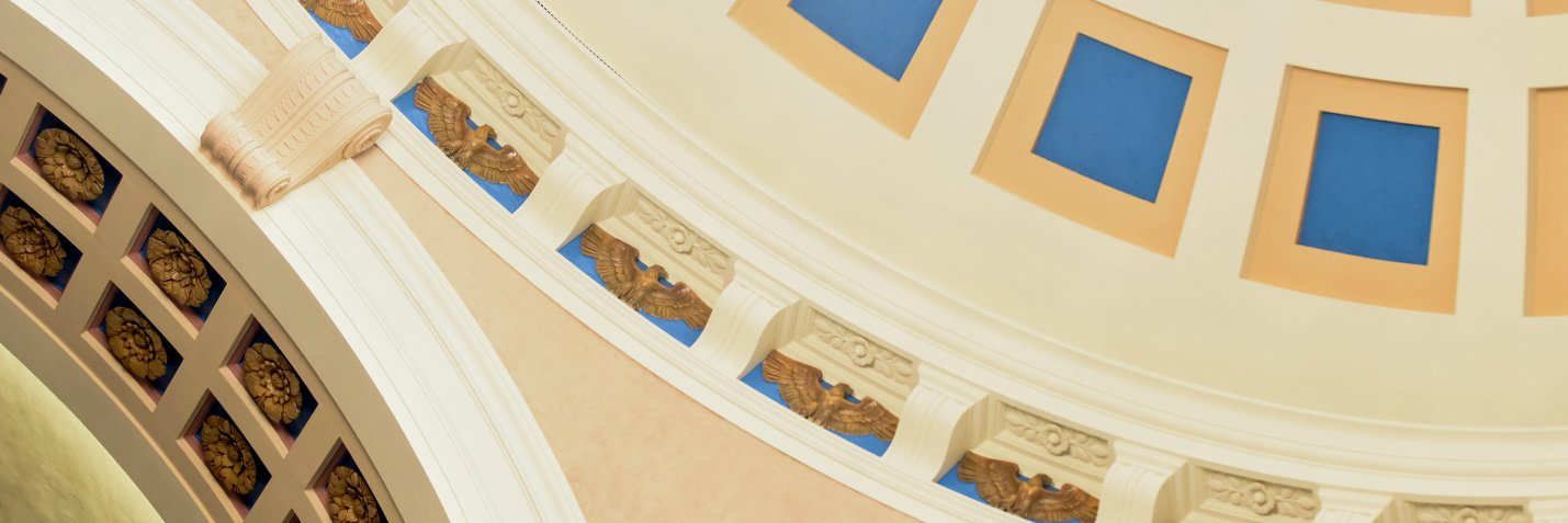 WV Senate banner