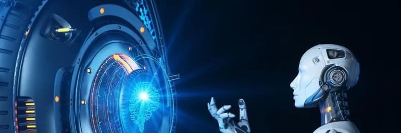 candace walter banner