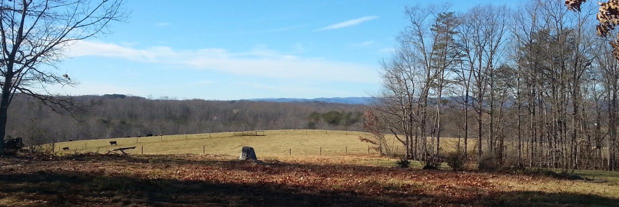 Coach Thompson banner