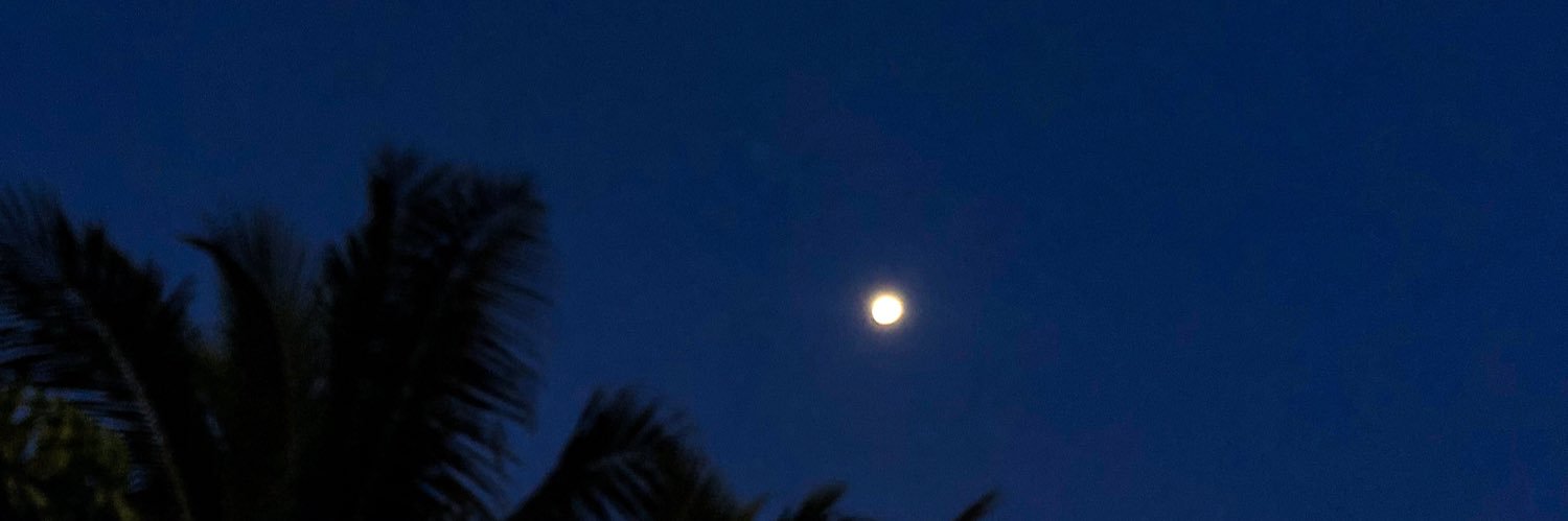 Jitney Spears 💗 banner