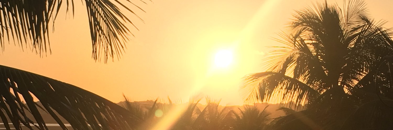 joylins's profile banner image