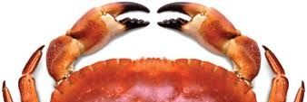 Lordpie24's profile banner image
