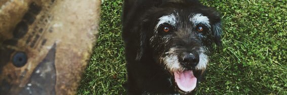 Bethhaller77's profile banner image
