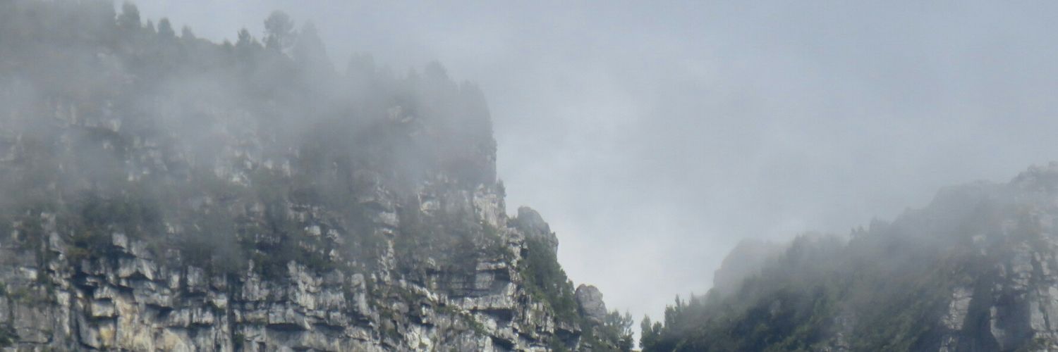 Lesc0h's profile banner image