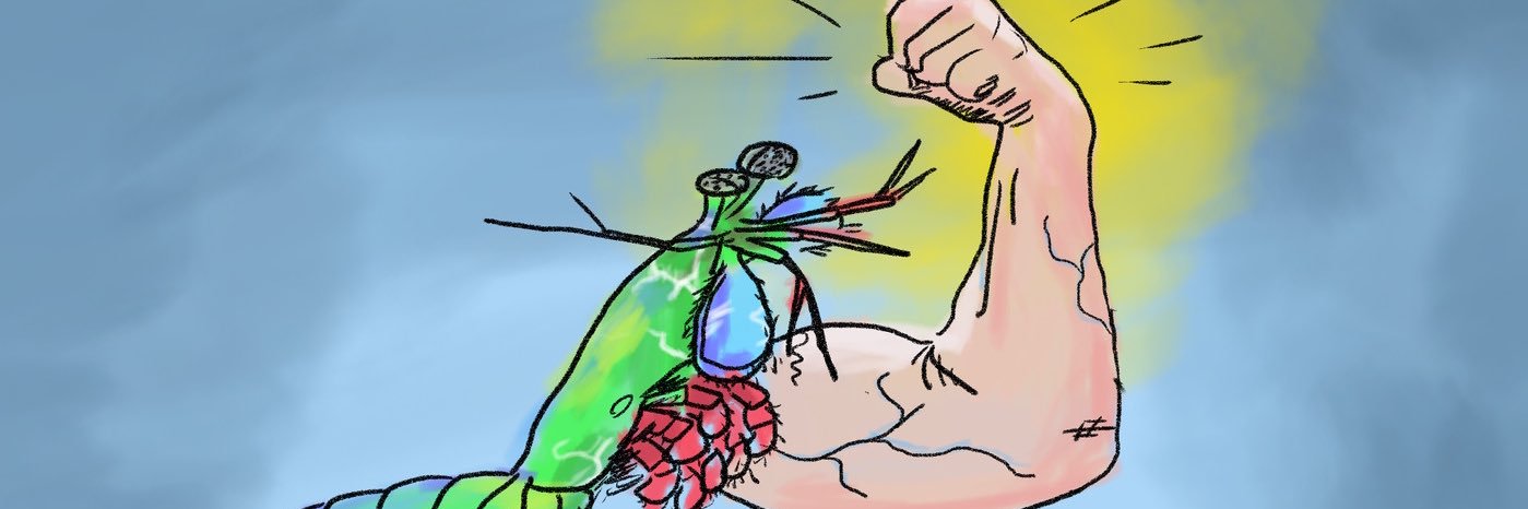 pickledbandaids's profile banner image