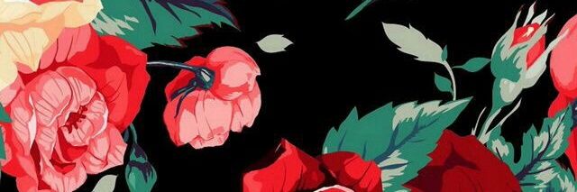 vaaaaalne's profile banner image