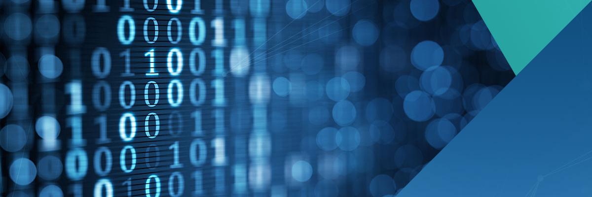 Carve Systems banner