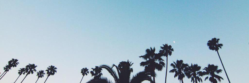 5omethingwrong's profile banner image